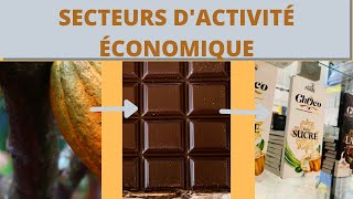 Les secteurs dactivité économique [upl. by Refanej]