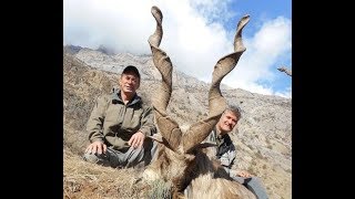 MARKHOR hunting is the best for conservation  by Seladang [upl. by Arahat]