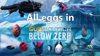 All creature eggs in Subnautica Below zero  hatching [upl. by Egas623]