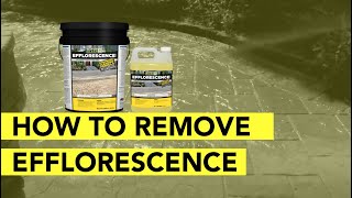 How To Remove Efflorescence From Pavers In 4 Simple Steps [upl. by Aubigny]