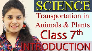 Introduction  Chapter 7  Transportation in Animals and Plants  Science Class 7th NCERT [upl. by Portia]