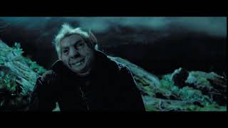 Peter Pettigrew turns into a rat [upl. by Katt]