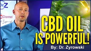 The BENEFITS Of CBD Oil For ANXIETY amp DEPRESSION  Dr Nick Z [upl. by Rehpotsihc]