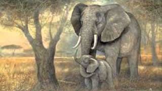 Saint Saens Carnival of the AnimalsLElephant The Elephant [upl. by Cusick127]