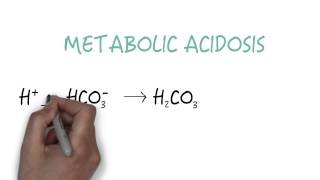 Bicarbonate  The Primary Buffer [upl. by Amalberga]