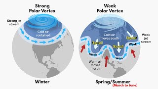 Polar Vortex  How its formed amp When it is dangerous  Indepth Explained [upl. by Anitsenre]