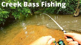 Bass Fishing in SMALL Creeks How to and My Helpful Tips [upl. by Plossl770]