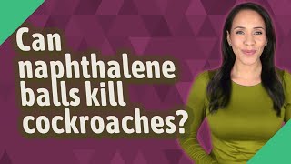 Can naphthalene balls kill cockroaches [upl. by Vinni]