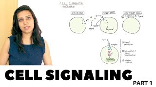 Cell Signaling Overview  Part 1 [upl. by Burnside]