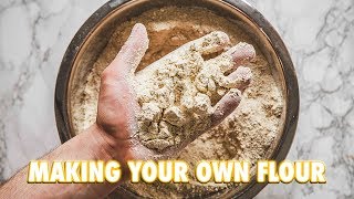 How To Make Your Own Flour At Home [upl. by Kaine153]