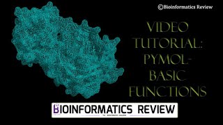 Video Tutorial Basic PyMol Functions [upl. by Amla]