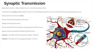 Biopsychology  Revision [upl. by Asenav]