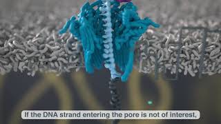 Adaptive sampling on nanopore technology [upl. by Ioj]