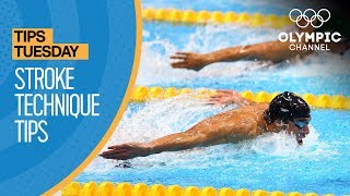 How To Improve Your Swimming Stroke Technique ft Coach Jack Bauerle  Olympians Tips [upl. by Davy]