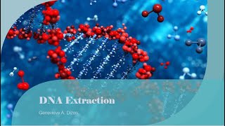 DNA Extraction [upl. by Culhert236]