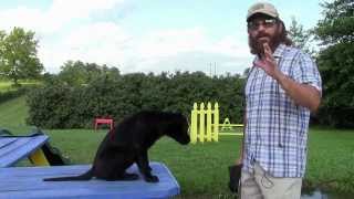 Training Your Labrador Retriever Puppy Part One [upl. by Hajidahk]