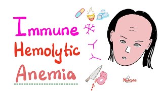 Immune Hemolytic Anemia intro [upl. by Arriaet349]