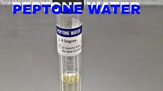 PEPTONE WATER  MICROBIOLOGY [upl. by Maker115]