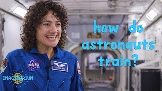 How Do NASA Astronauts Train [upl. by Weil513]