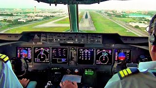 MD11 COCKPIT VIEW  Landing MIAMI  Martinair Cargo [upl. by Hynda]