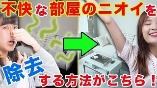 【衝撃】不快な部屋のニオイを除去する方法がこちら！ [upl. by Annaiv]