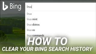 How To Clear Your Bing Search History [upl. by Adnolehs]