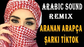 Arabic Remix Song ►Tiktok Aranan Arapça Şarkı King Song [upl. by Atinus49]