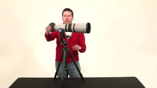 How to Setup amp Use a Gimbal Head For Wildlife Photography [upl. by Dyoll]