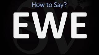 How to Pronounce Ewe CORRECTLY [upl. by Nnylirehs]