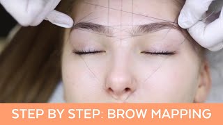 Brow Mapping Step By Step Training [upl. by Egreog]