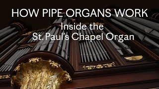 How Pipe Organs Work Inside the St Paul’s Chapel Organ [upl. by Attekahs]