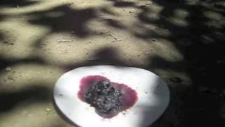 What Happens When Sugar and Potassium Permanganate are Mixed [upl. by Lucchesi]