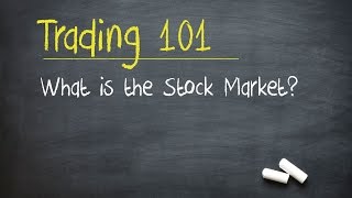 Trading 101 What is the Stock Market [upl. by Namrehs123]