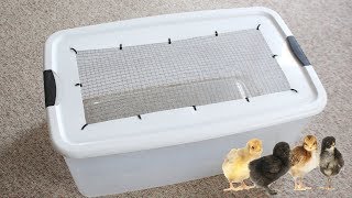 DIY Chick Brooder  Life at Cloverhill [upl. by Georgeanna]