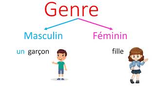 Grammaire  Le genre du nom  masculin et féminin CP  CE1 [upl. by Atsahs]