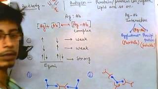 Antigens and antibodies [upl. by Arezzini]