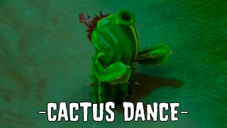 🎵 Cactus Dance 🎵 [upl. by Dev]