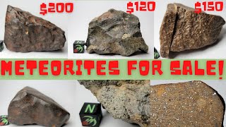 Meteorites for Sale Unclassified  Buy Real Meteorites from Space Three NWA Chondrite Meteorites [upl. by Konstanze]