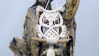 Macrame Owl Wall Hanging Tutorial For Beginners amp Beyond [upl. by Noelle]