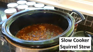 Easy Tender Slow Cooker Squirrel Stew [upl. by Mirabel738]