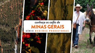 CAFÉS DE MINAS GERAIS  Série Regiões Produtoras 001 [upl. by Ahsiem]