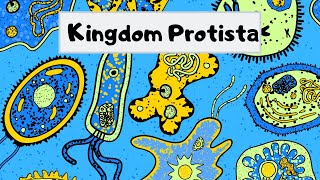 Kingdom of Protista [upl. by Aivlys]