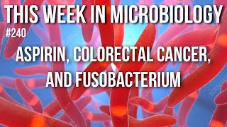 TWiM 240 Aspirin colorectal cancer and Fusobacterium [upl. by Haissi899]