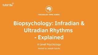 Biopsychology Infradian and Ultradian Rhythms Explained [upl. by Amero]