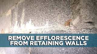 Removing Efflorescence from Retaining Walls  Ep 104 [upl. by Ingelbert]