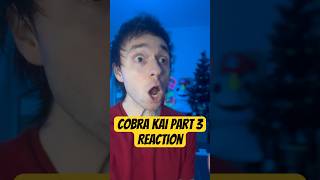 My Cobra Kai Season 6 Review Part 3 [upl. by Odla]