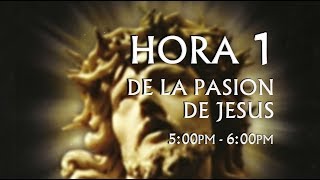 01 de 24 I Horas de la Pasión de Jesús Luisa Piccarreta Divina Voluntad [upl. by Inalaehak540]