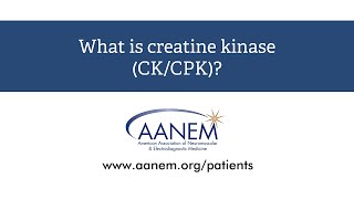 What is creatine kinase [upl. by Ogait]