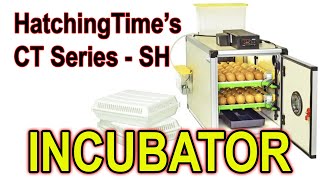 HatchingTimes CT Series Incubators  Introduction [upl. by Drahsir351]