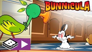 Il ladro di suoni  Bunnicula  Boomerang Italia [upl. by Julissa]